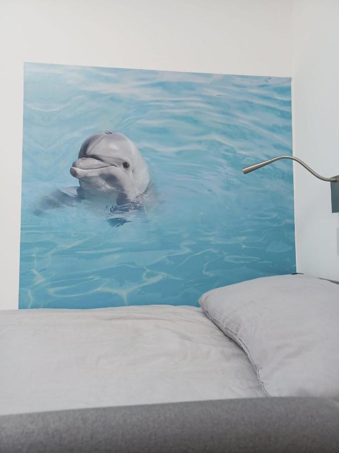 Voyage Hostel - Rooms With Shared Kitchen Douglas Eksteriør bilde